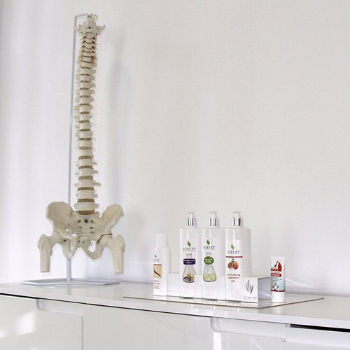 medizinisches Modell der Wirbelsäule